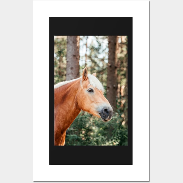 Haflinger mare in the forest Wall Art by M-Hutterer